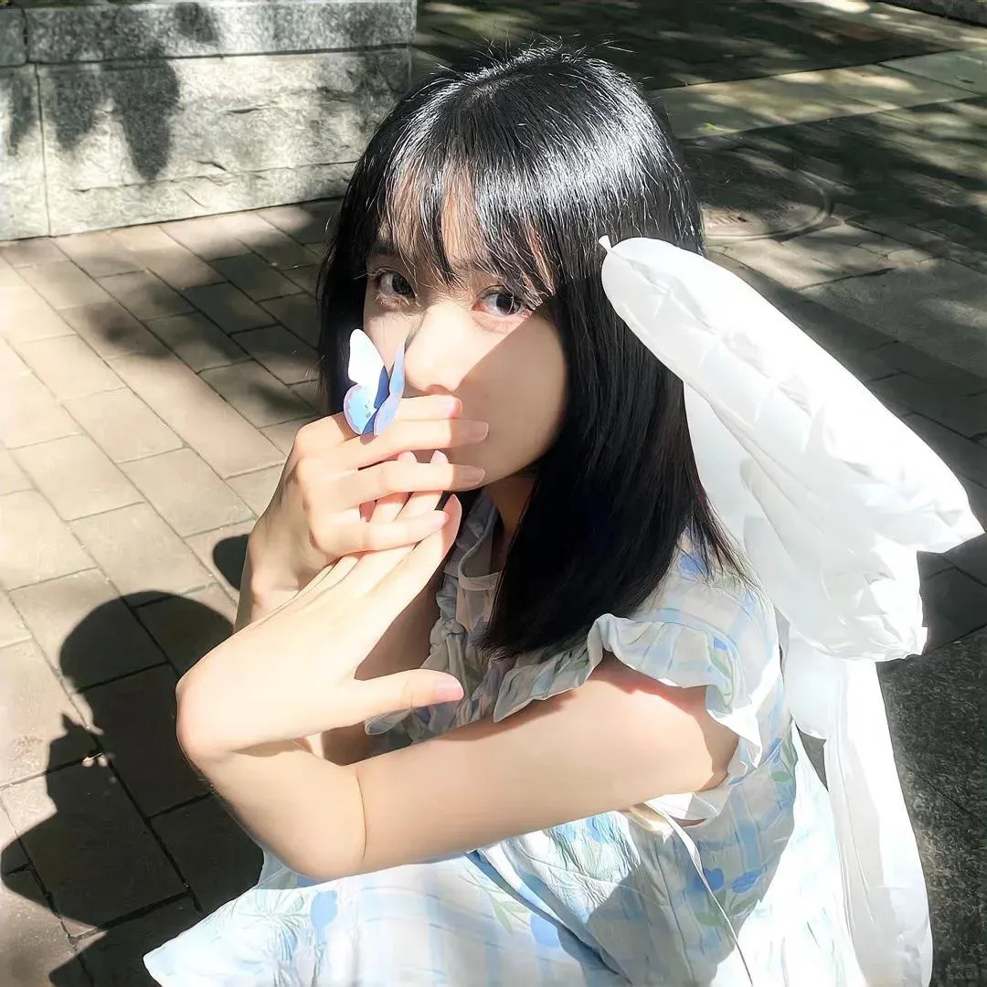 飞蛾日记