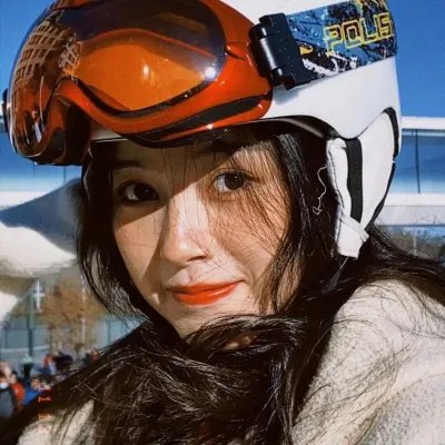 哈莱姆的郁金香